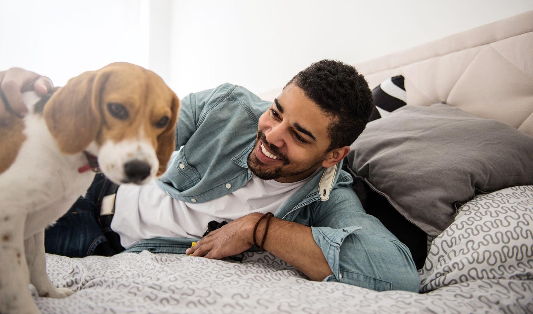 We welcome your pet family man smiles and pets his dog on a bed